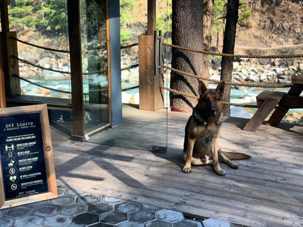 The Alpine Guest House 카솔 외부 사진