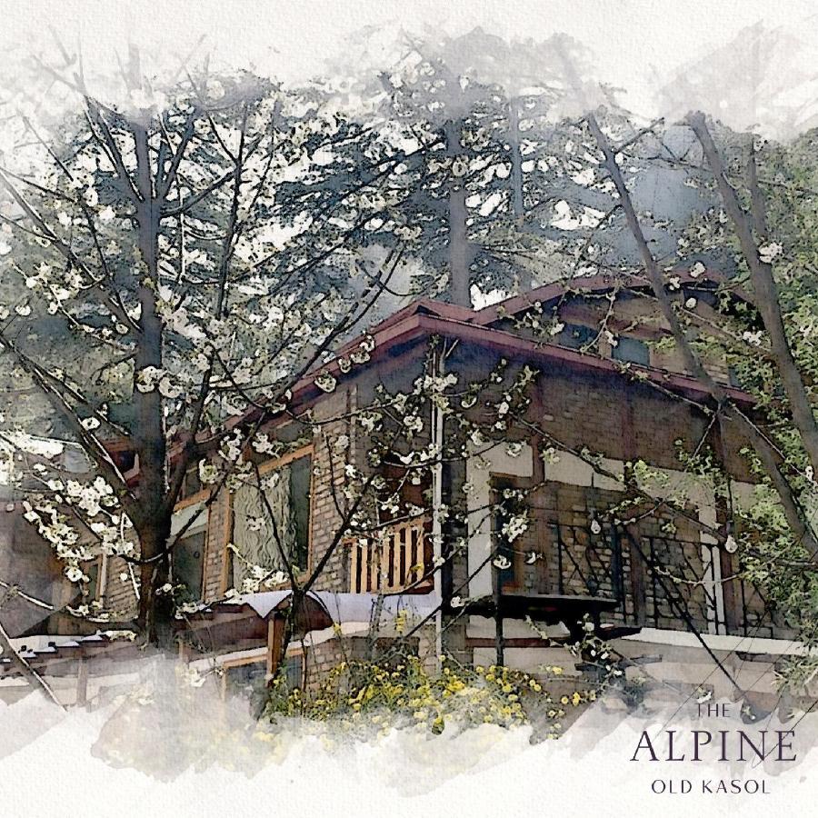 The Alpine Guest House 카솔 외부 사진